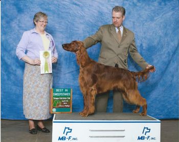 Shown going Best In Sweeps  at the Potomac Irish Setter Club.

