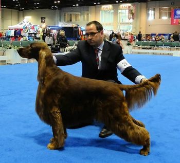 Shown having his picture taken by the Judge who gave him the very nice Breed win prior to Eukanuba K.C.
