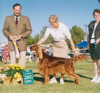 A Specialty Best of Breed is always super . Unfortunately, the grass was dry and very slippery so she doesn't look her best.
