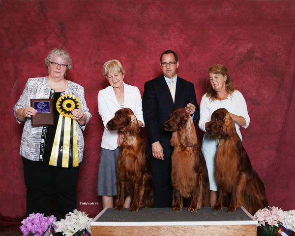 Tramore won Best in the Breeder's Showcase at the Greeley K. C. show.  It was a wonderful win since there were some other fine entries.
From left to right, Ch. Tramore Standing Ovation, Plat. Gch. Tramore Notorious, and Ch. Tramore Regardless.