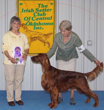 Carson is now a Champion who finished with 3 Specialty majors at 13 1/2 months.  Good Boy!!

