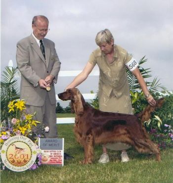 Shown winning an Award of Merit at the Pennsylvania National. She was just 2 years old, and this was a very special honor.
