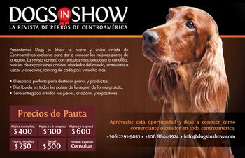 Pierce is shown on the cover up the upcoming Dogs 'N Show which will be circulated in Central and South America. He will be shown down there by Ariel Cukier for the next year.

