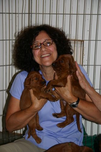 It was Judy's birthday, and she couldn't think of a better present then holding these puppies.
