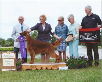Cian going Winners Dog at the Ohio National.
