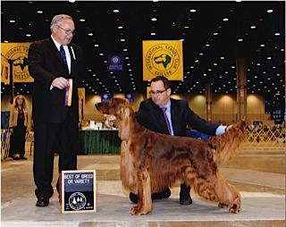 Best of Breed at the International K.C.
