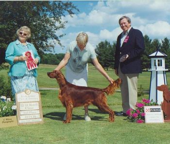 Wylie shown going second in a 47 bitch 12-18 month class at the Michigan National. It was quite a thrill. We had one gentleman from England congratulate us, saying she was the best moving dog he had seen so far at that National. High Five!
