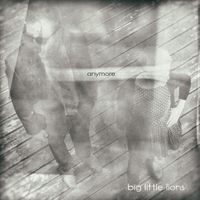Anymore by Big Little Lions