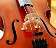 Cello Rental Fees 1/8 - 4/4