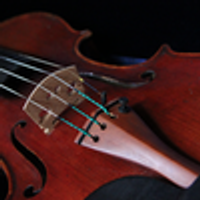 Violin Rental Fees