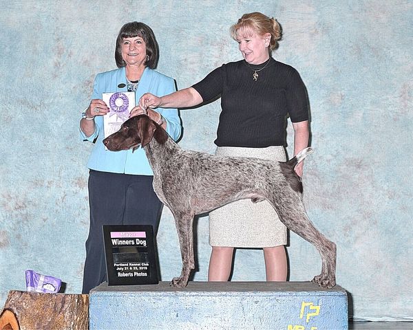 Major Specialty Show win July 21st from Bred By!