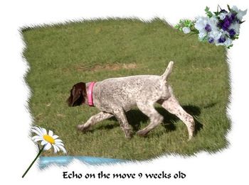 Echo's movement was there even at 5 weeks old
