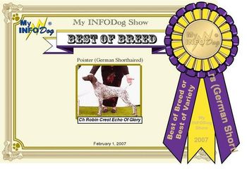 Echo's Info Dog Best of Breed win
