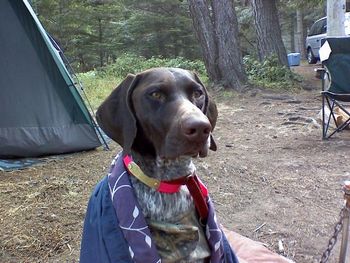 Echo at 2 years camping
