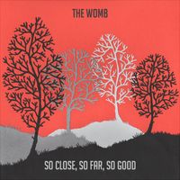 So Close, So Far, So Good by The Womb