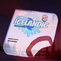 Icelandic Feat. Yella Vanella by KILLAMIND Feat. Yella Vanella 