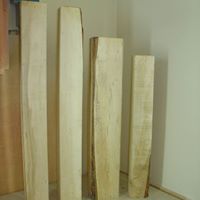 Raw maple for neck wood
