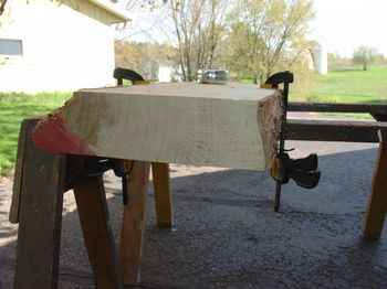 Raw maple being milled for neck wood
