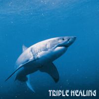 Triple Healing by Matthew C.
