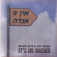 It's No Dream  by Bryan Zive 