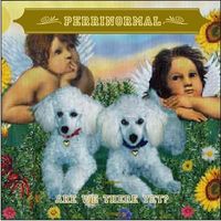 Are We There Yet? (Songs for Paper Violins) by The Perrinormal