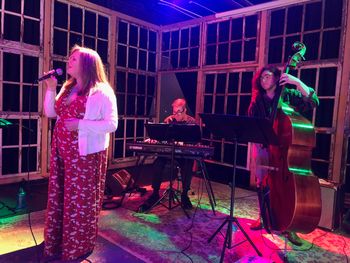 Live Streaming and afternoon show from Tellus 360 with Bailey Fulginiti Quartet (I'm cropped out!) March 2021
