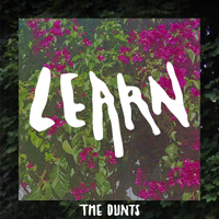 Learn by The Dunts