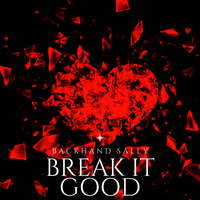 Break It Good-The Dos (Radio Edit) by Backhand Sally