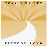 FREEDOM ROAD by TONY O'MALLEY