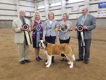Rosie Receiving 4 best in show awards and the IABCA Grand Seeger award
