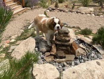 Carly at her favorite water feature
