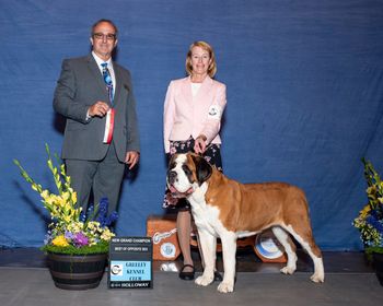 Rosie receiving  her AKC  Grand Championship
