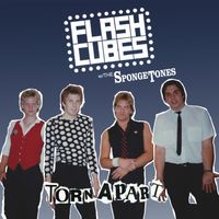Torn Apart by The Flashcubes featuring The Spongetones