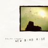 New Bird Rise: CD