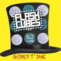Gudbuy T'Jane by The Flashcube featuring Steve Conte