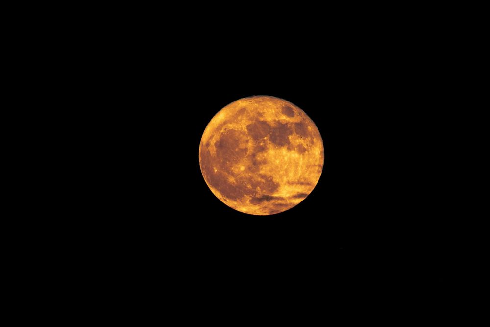 Click On Moon To Hear Neil Young's Harvest Moon! Sung by Halladay Quist and I'm on harmonica (solo towards the end!)