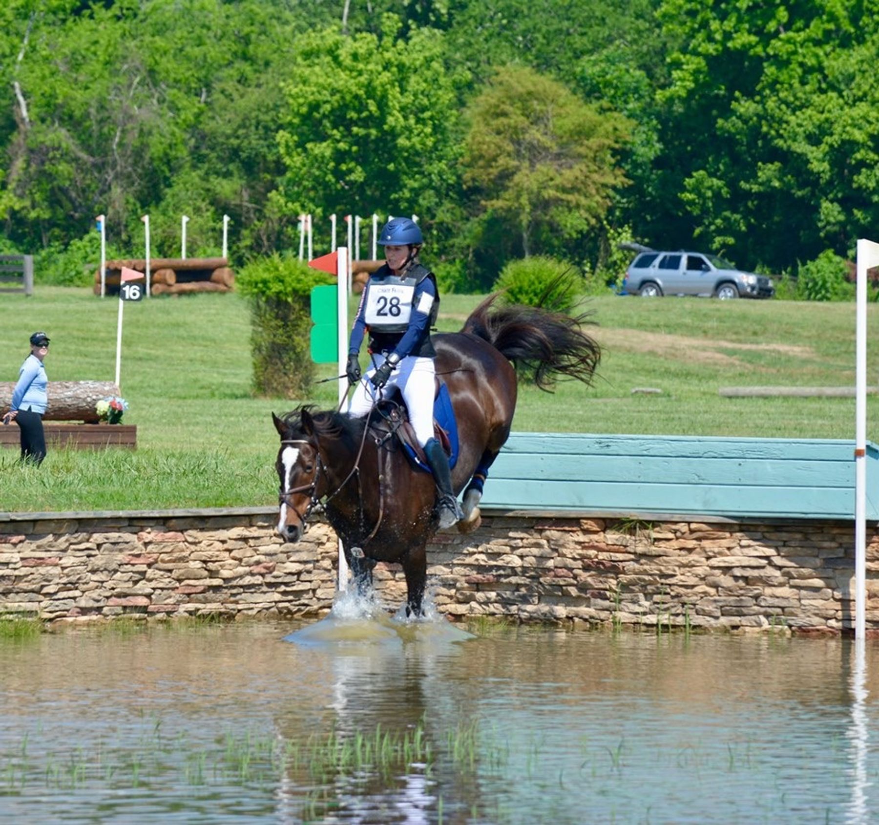 Foxwood Farms - Horse Training