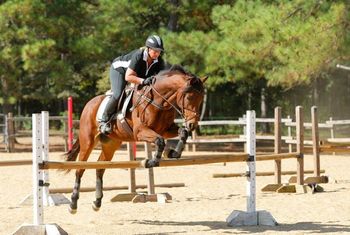 Susan & Hunter riding in Wofford Clinic @ Foxwood Farms 10/10
