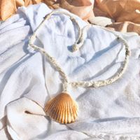 Simple Sea Shell Necklace Thick