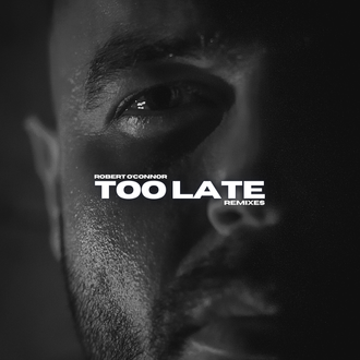 Too Late (Remixes)