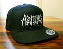 Asylence Logo Hats 