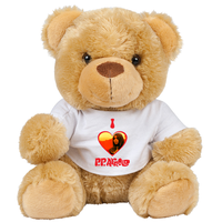 Teddy 3