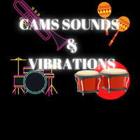 CAM SOUNDS & VIBRATIONS-LIVE by Cams Sounds & Vibrations