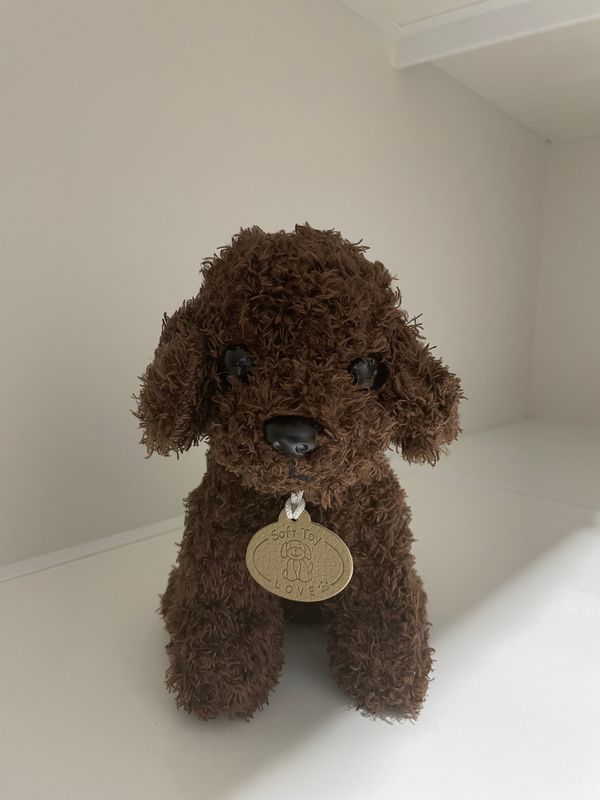 Coco Love Plush Puppy + FREE Believe Album