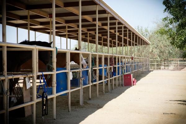 Sundancerstables.com - Sundancer Stables Facilities