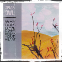 Why Does Love Always Break Your Heart by Space Owl