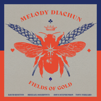 LEAD SINGLE! Fields Of Gold by Melody Diachun (feat. Michael Occhipinti, David Restivo, Doug Stephenson, and Tony Ferraro)