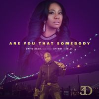 Are You That Somebody by David Davis feat. Tiffany T'Zelle