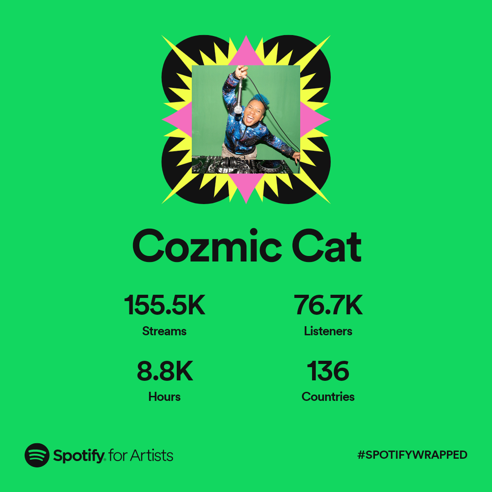 Thank you For Following Cozmic Cat on Spotify!