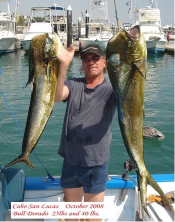 10-28-08: James spent our week off in Cabo San Lucas and lands a couple beautiful Bull Dorados

